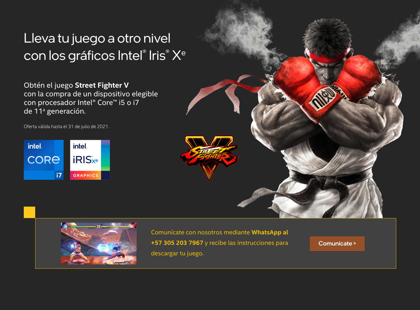 banner_SFV