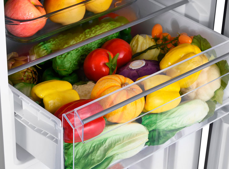 REFRIGERADORA INDURAMA BOTTOM FREEZER NO FROST RI-639DN 251 A 350 L NEGRO - 10