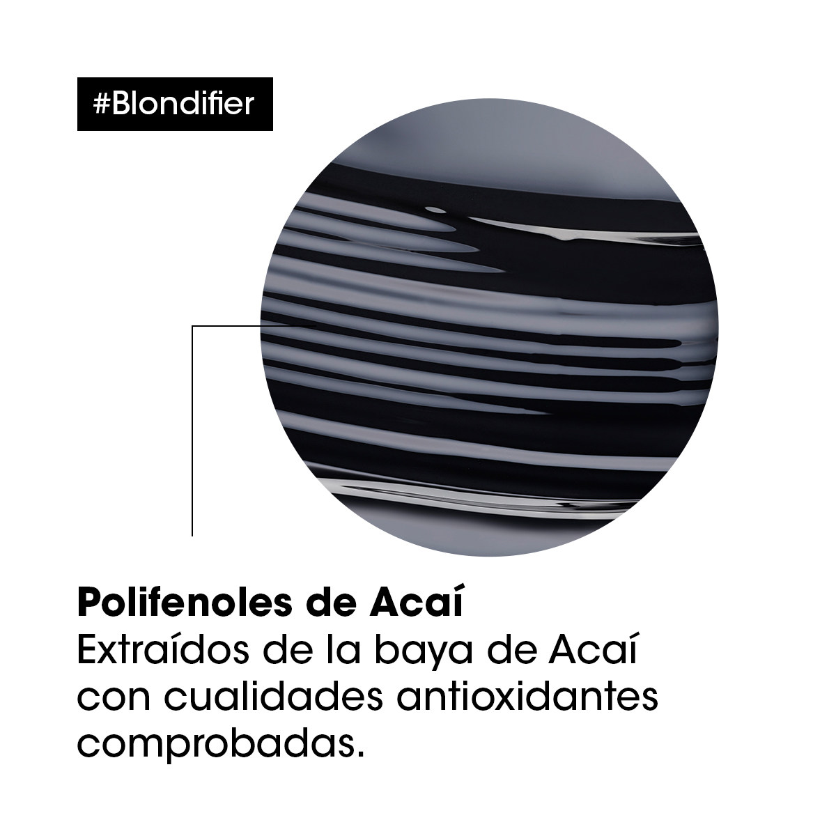 SHAMPOO PROTECTOR DE CABELLOS RUBIOS BLONDIFIER 500ML - 2
