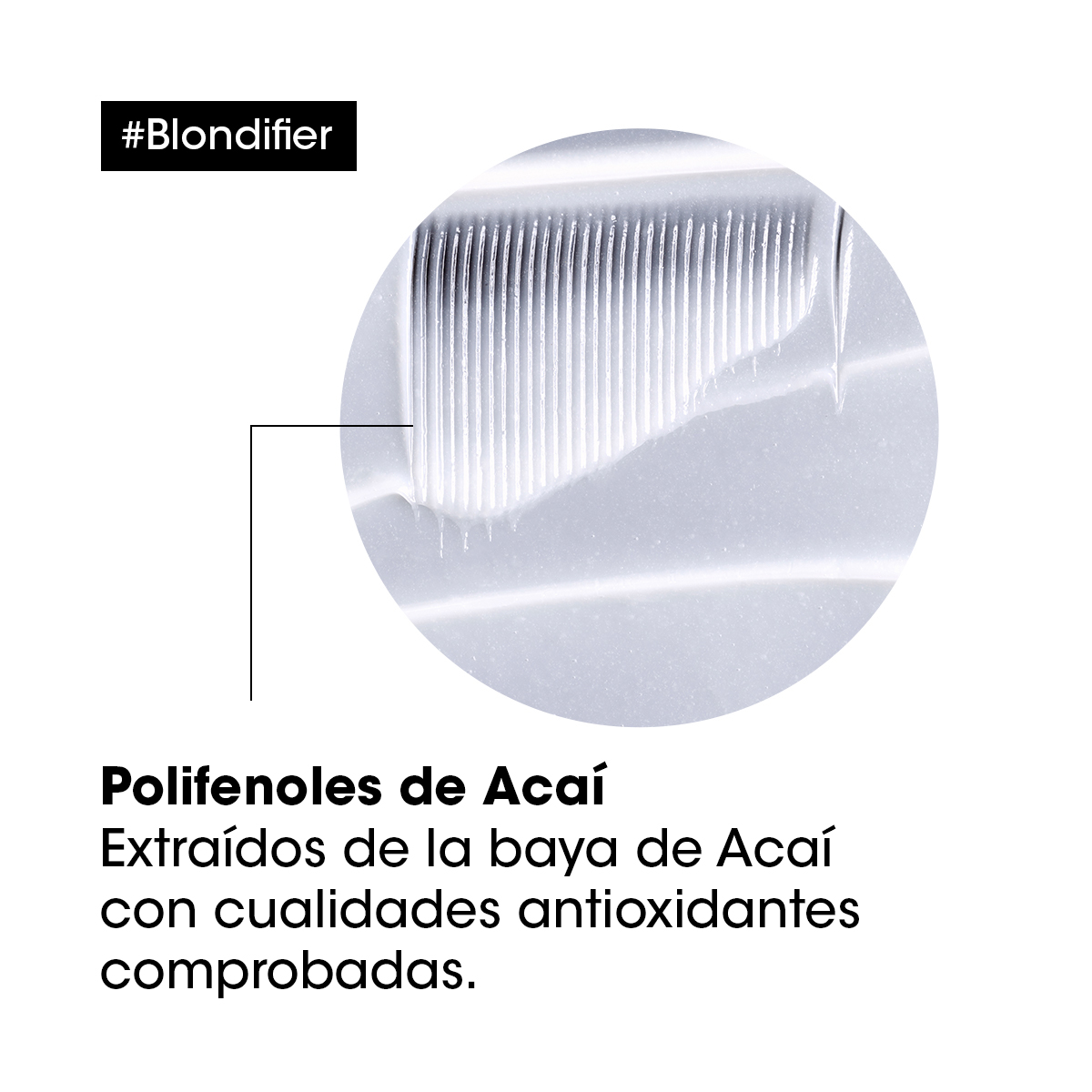 SHAMPOO PROTECTOR DE CABELLOS RUBIOS BLONDIFIER 500ML - 3