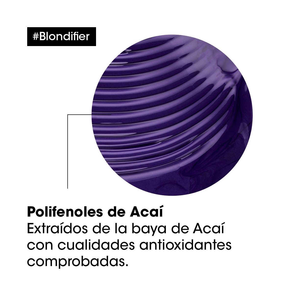 SHAMPOO PROTECTOR DE CABELLOS RUBIOS BLONDIFIER 500ML - 4