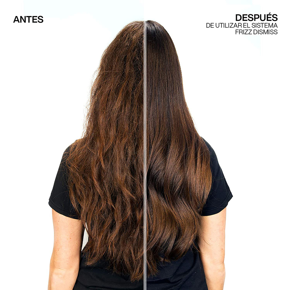 SHAMPOO REDKEN FRIZZ DISMISS PARA CABELLO CON FRIZZ 300 ML - 4