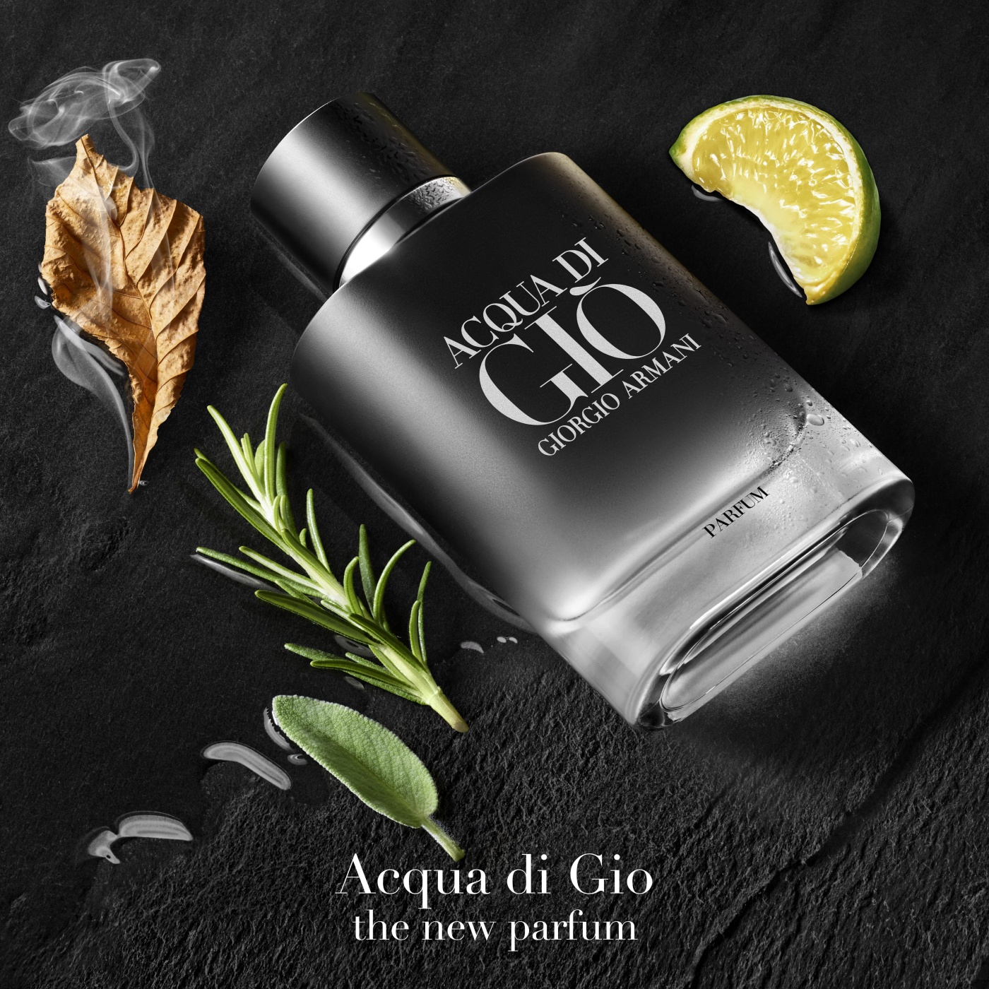 PERFUME GIORGIO ARMANI ACQUA DI GIO HOMBRE 75 ML