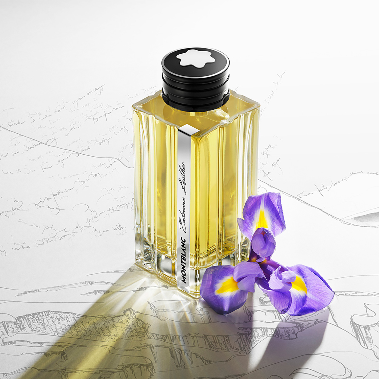 PERFUME MONTBLANC COLLECTION EXTREME LEATHER HOMBRE EDP 125 ML - 3
