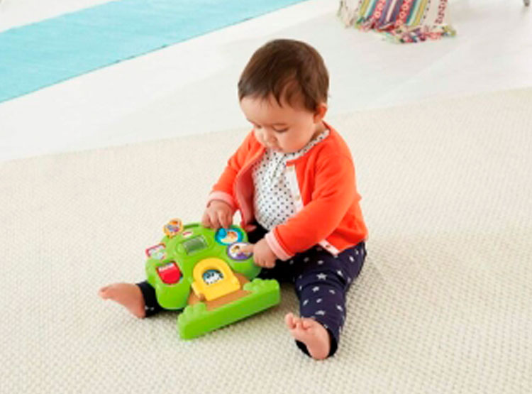 JUGUETE FISHER PRICE SURT ACTIVIDADES ANIMALES PADRE CMV95 - 6