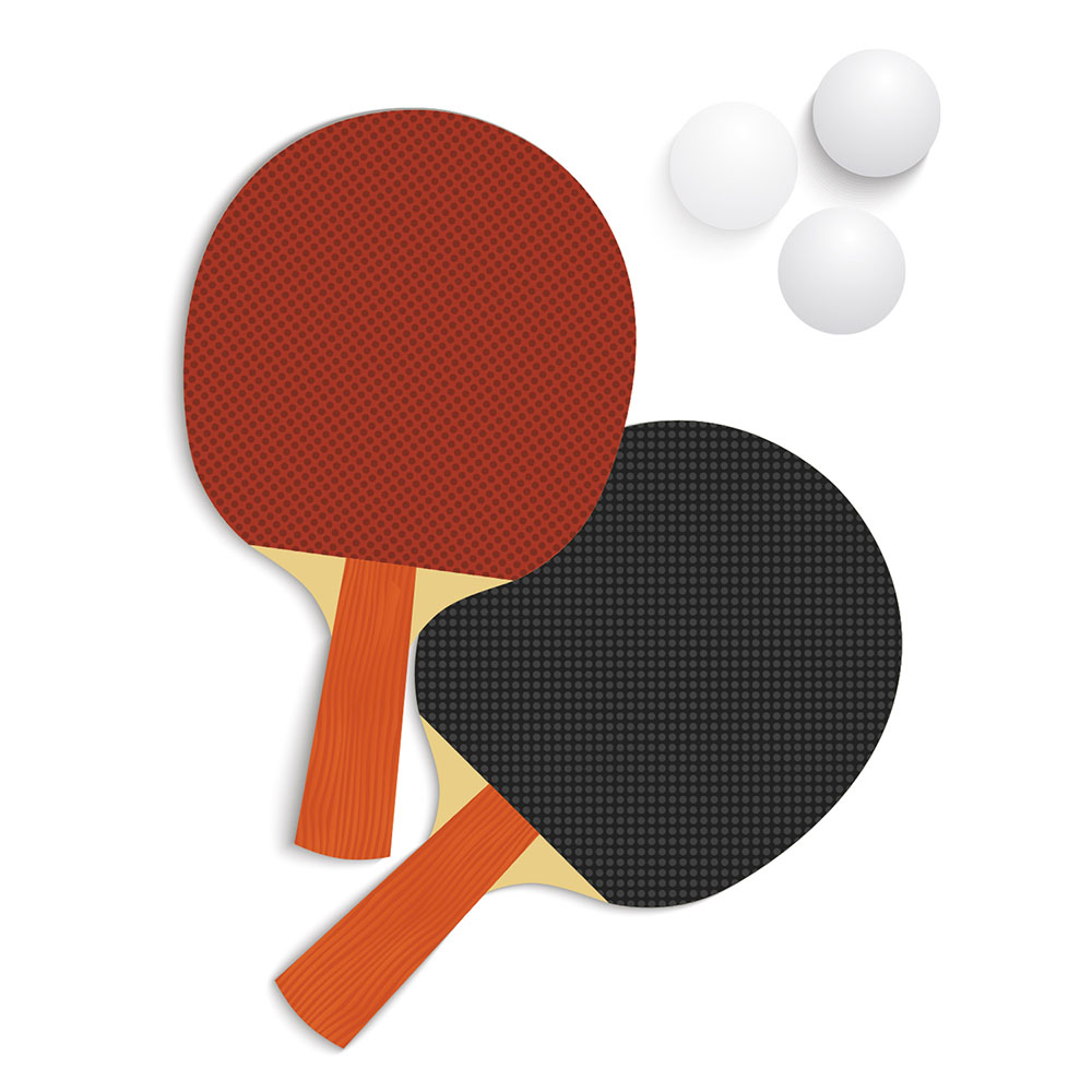 PING PONG PLAYSPOT PL54 - 4