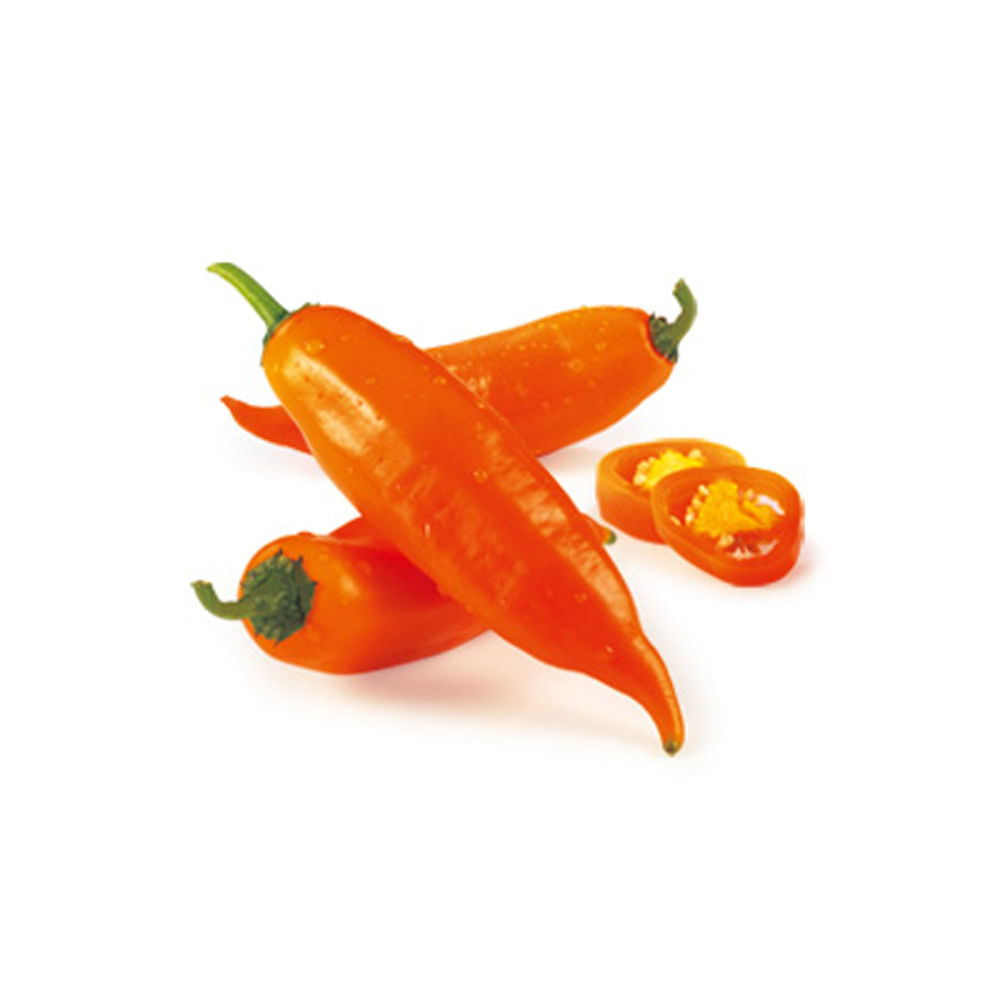 Aji Bitches